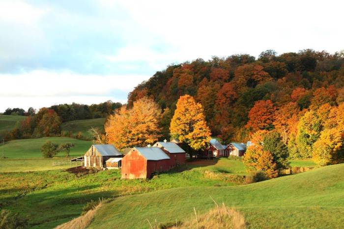 Vermont beaten presidential