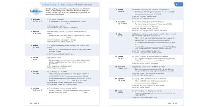 Vocabulary workshop level e unit 13