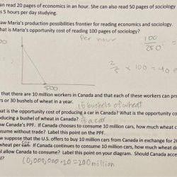 Maria can read 20 pages of economics