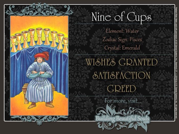 Nine of cups how someone sees you