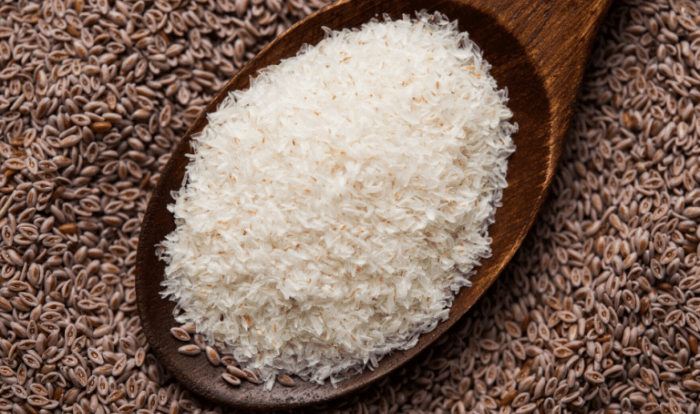 Does psyllium husk contain oxalates