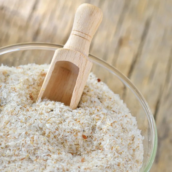 Does psyllium husk contain oxalates