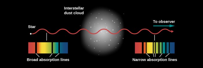 Interstellar absorption lines are narrow primarily because