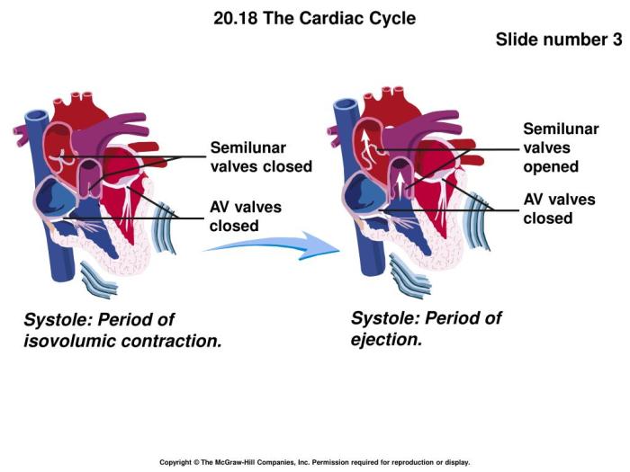 Select all that occur during ventricular systole