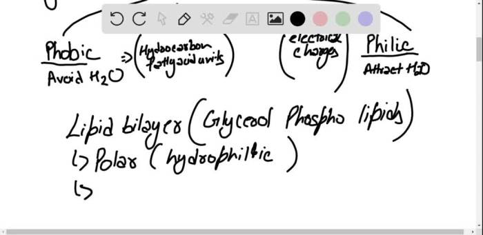 Function biology molecule fajarv biological synthesis