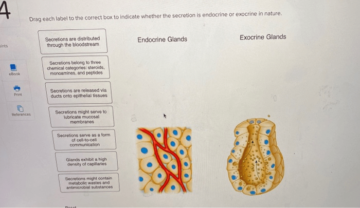 For each teratogen indicate the category to which it belongs