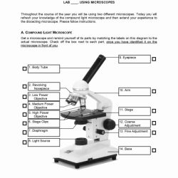 Microscope parts color science school printable lab through learning biology label students activities activity identifying teaching classroom cells coloring key